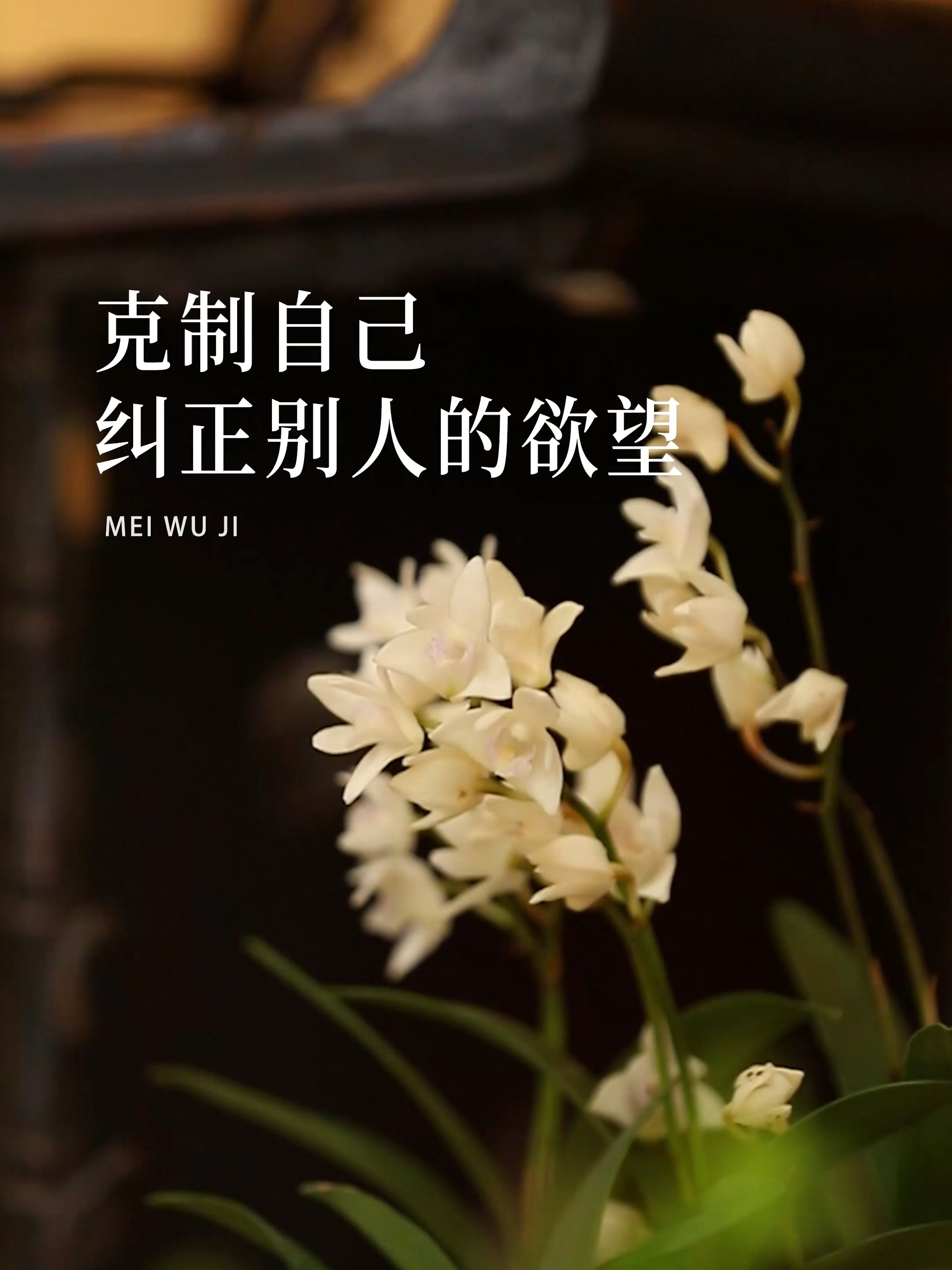 无私奉献的求胜欲望让人拭目以待的简单介绍 无私奉献的求胜欲望让人拭目以待的简单介绍