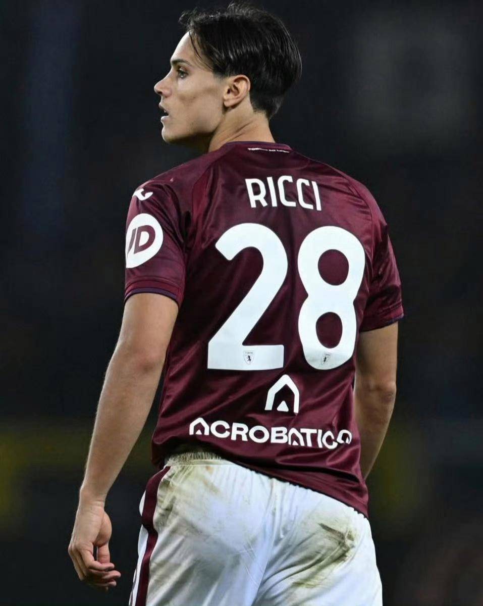 意甲豪门签下前法国国脚中场 意甲豪门签下前法国国脚中场