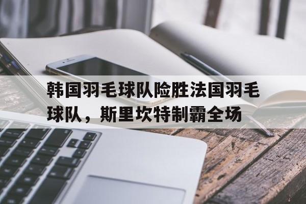 韩国羽毛球队险胜法国羽毛球队，斯里坎特制霸全场的简单介绍