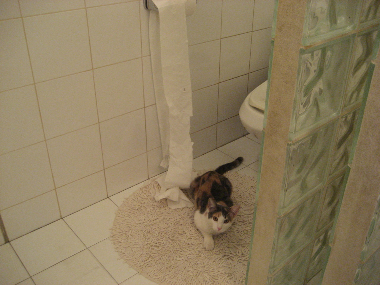 武切维奇爆发狂揽双二十创纪录，凯尔特人防守制胜终结活塞连胜