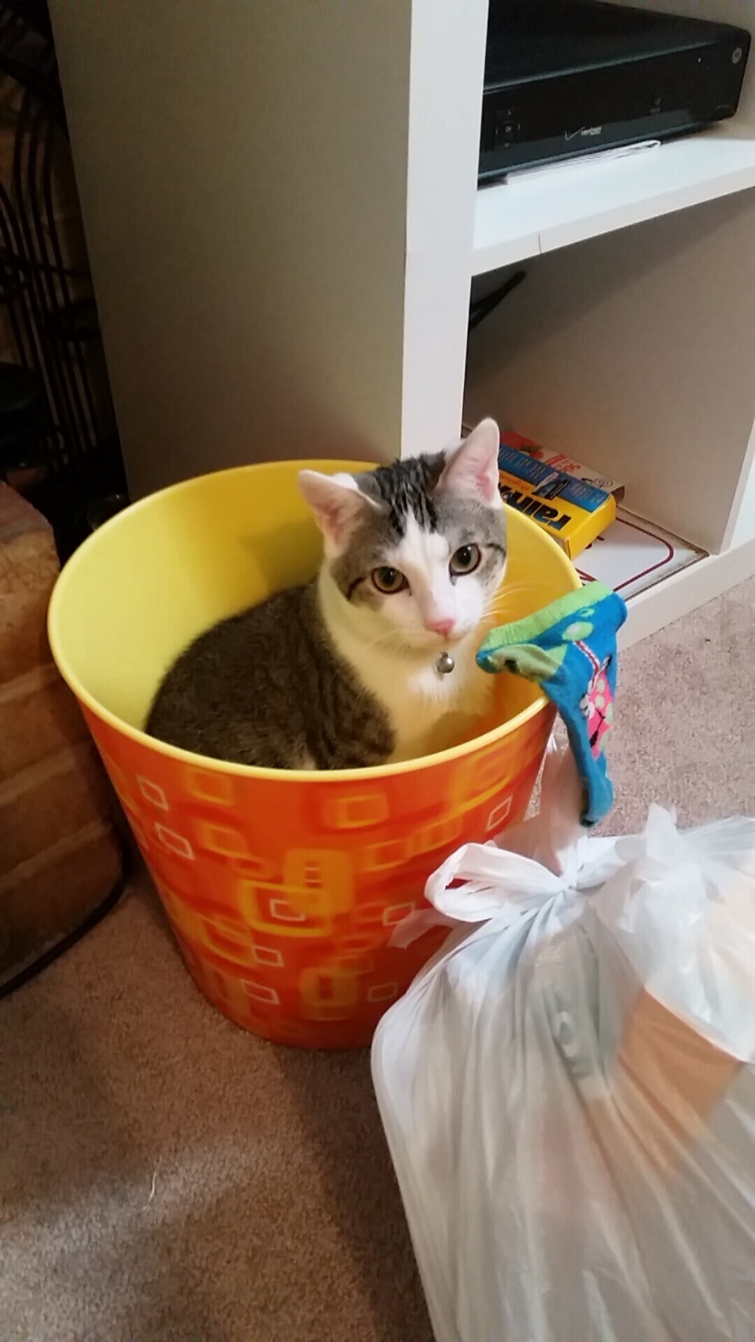 铁壁与叹息，当范戴克成为无解方程式