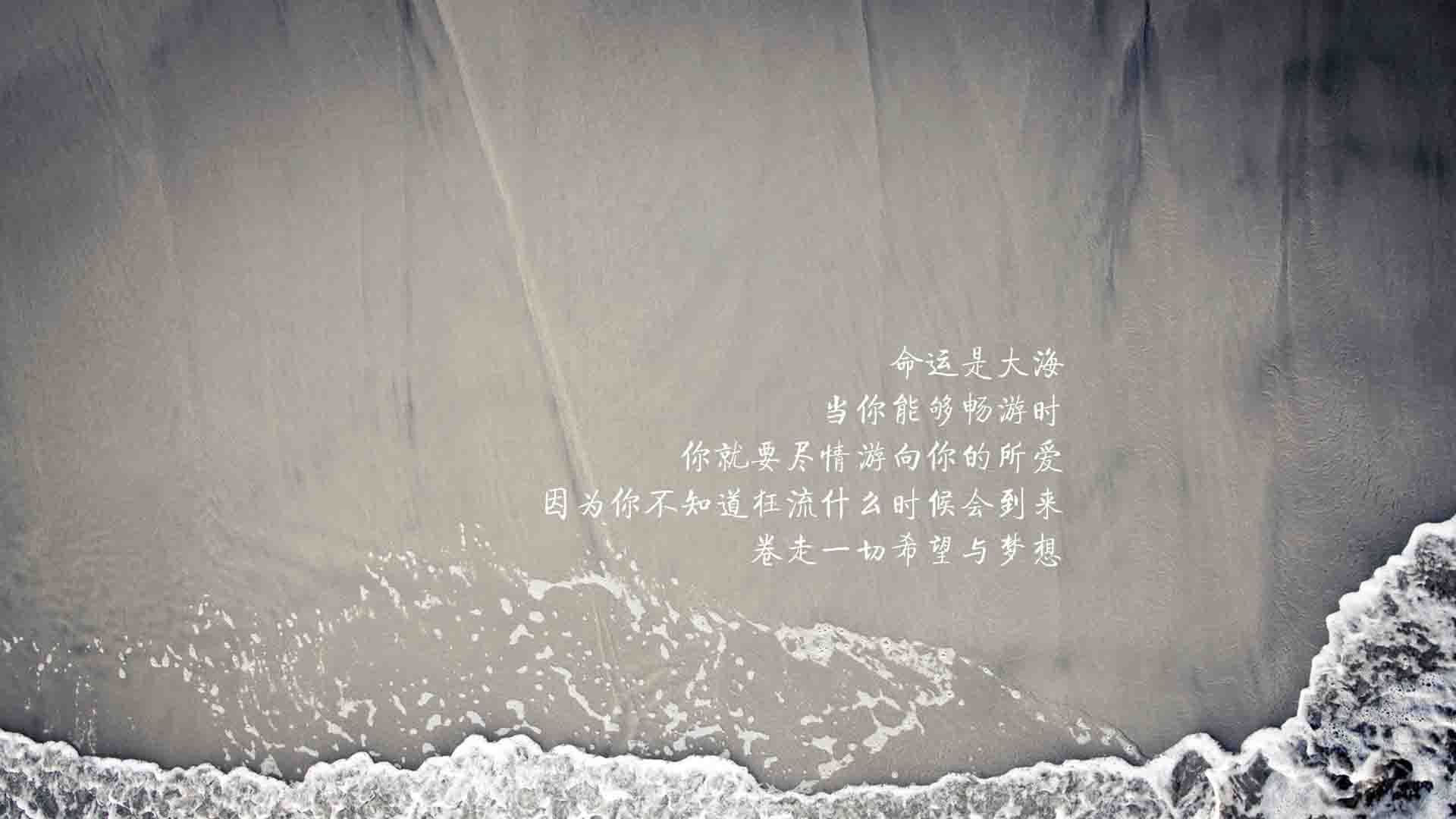 戈贝尔惊艳四座，奇才国际赛力克广东队