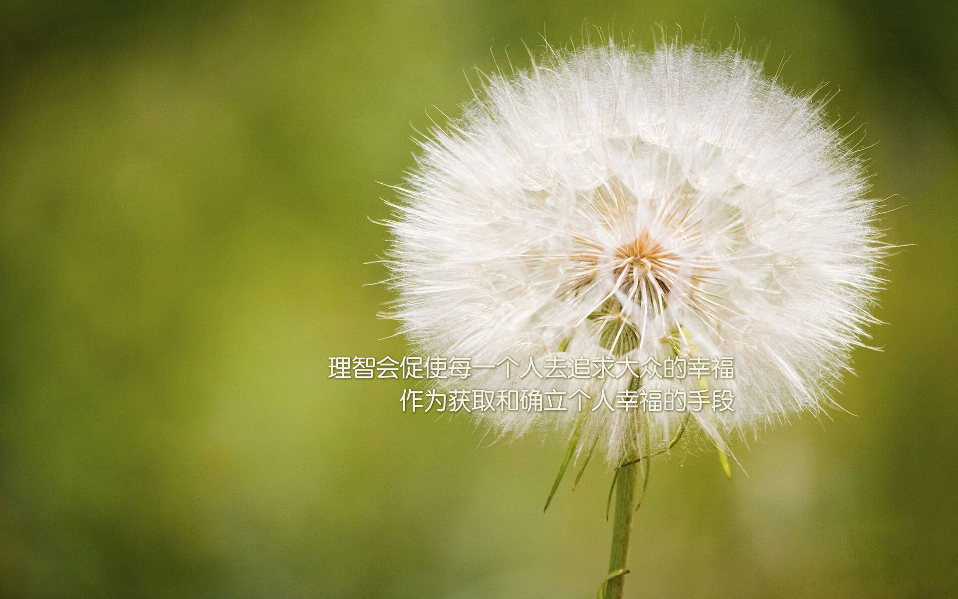 个体璀璨与铁壁森严，篮球世界里两种胜利法则的对话