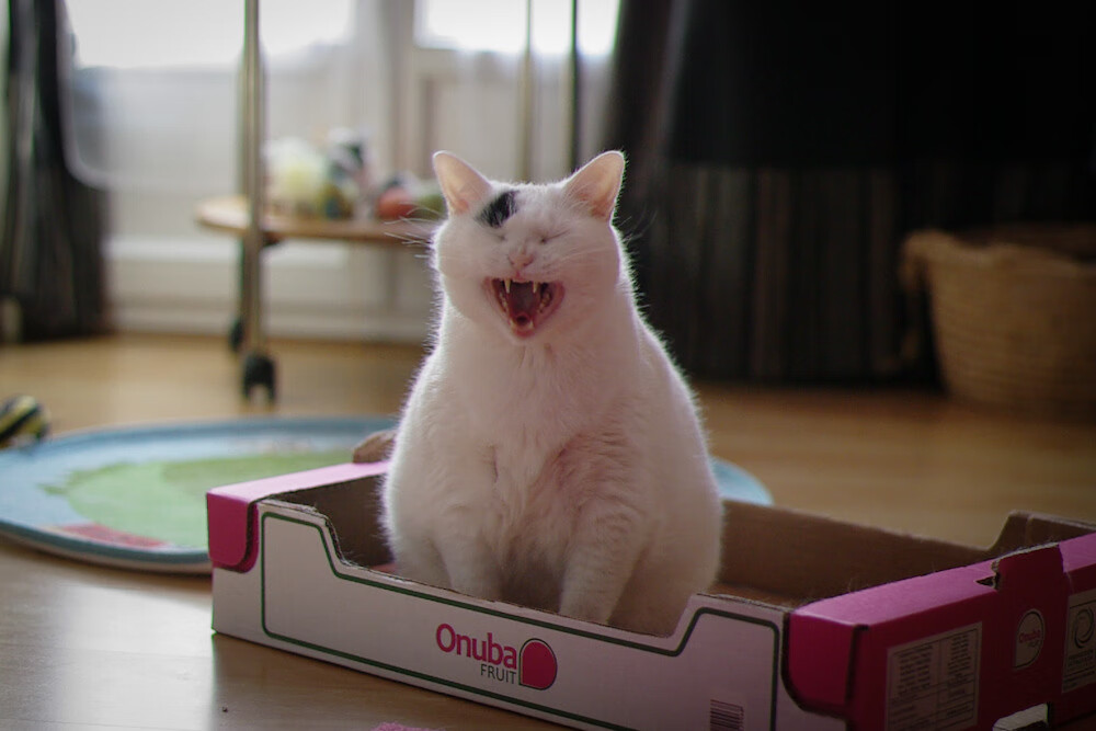 世俱杯参赛资格-绿茵棋局，乌拉圭的全面压制与斯通斯的节奏掌控