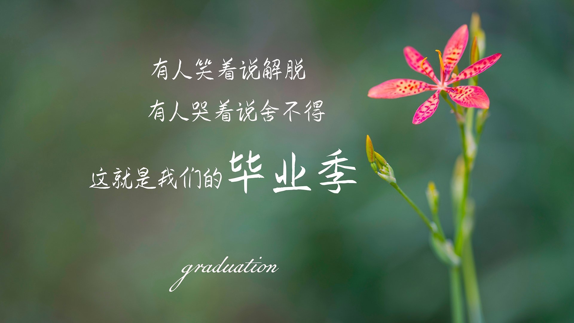 钢铁洪流与极夜流星，公牛制霸奇才背后的爱德华兹冠军级宣言