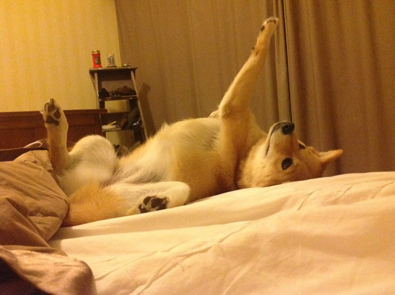 西甲国家德比焦点战，北京队关键战突围国王的启示