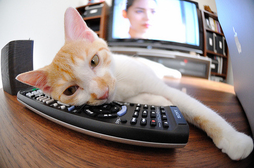 世俱杯赛程-雷霆万钧破辽篮铁壁，当NBA季后赛强度撞上CBA巅峰