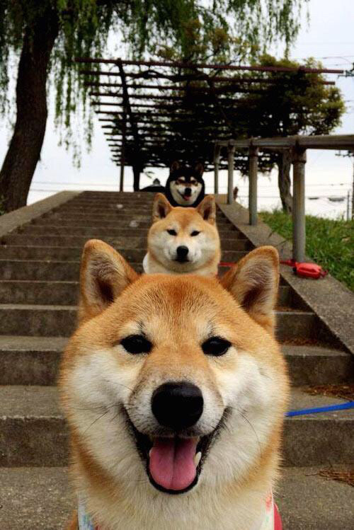 世俱杯参赛资格-鏖战与蝶变，奥运周期关键战与绿茵启示录