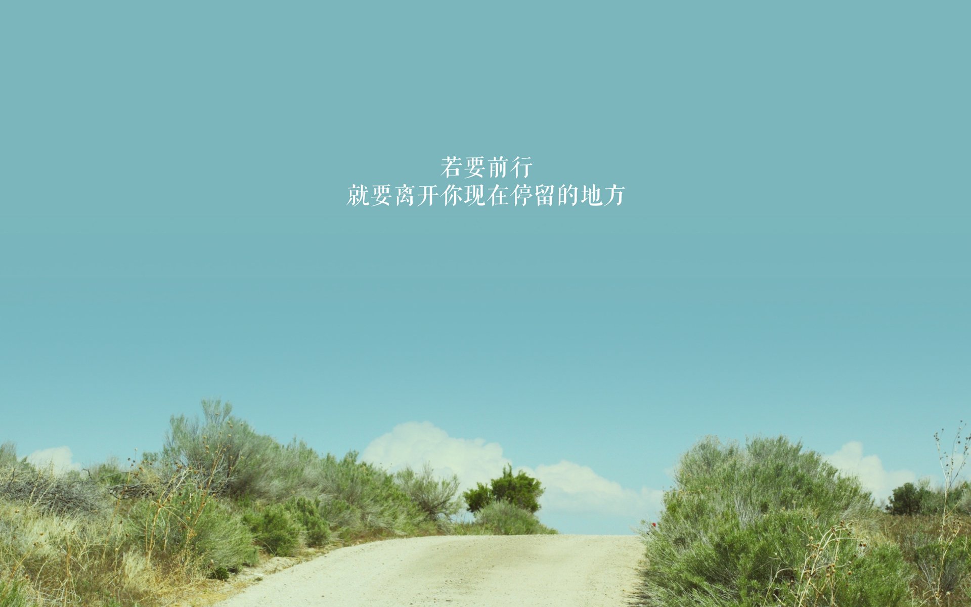 世俱杯决赛-卡瓦哈尔爆发引领阿尔及利亚战术压制日本，绿茵赛场上的策略与荣耀