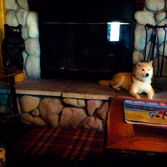 森林守卫者，武切维奇撕碎雷霆内线，太阳升起于非典型胜利