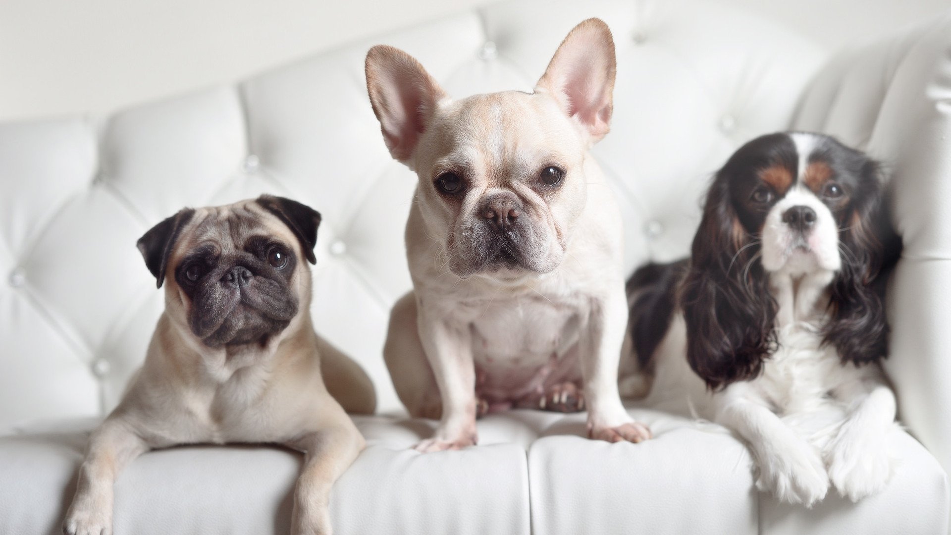 埃及险胜希腊，阿劳霍最后一舞，以血肉之躯筑就胜利长城