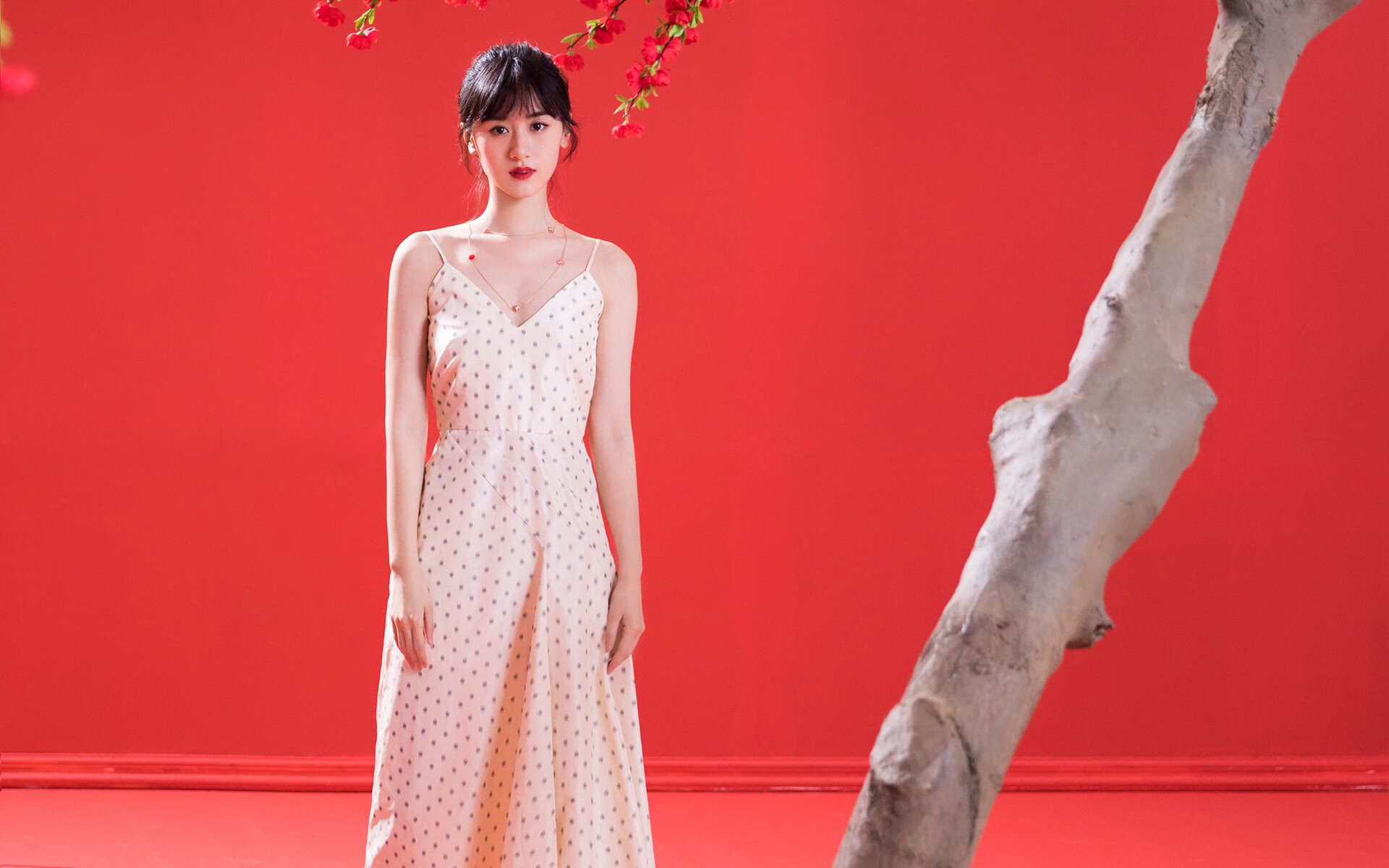 猛龙噬寒江，2026世界杯预选赛焦点战，一场提前终结悬念的吉林绞杀战