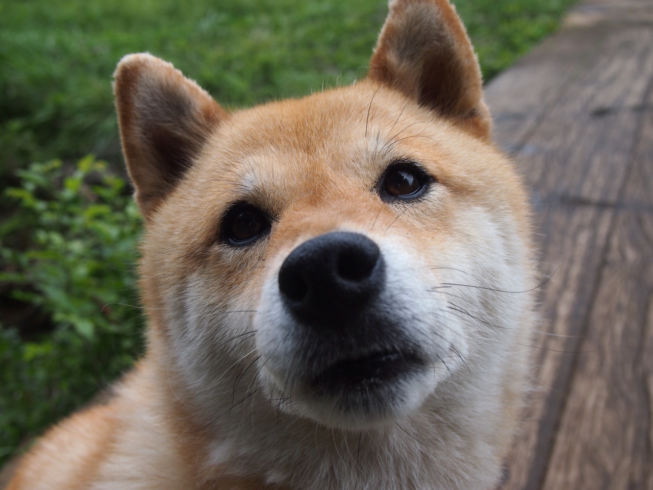 当巨人杀手亮出致命獠牙，解析山西队横扫辽宁的焦点之战