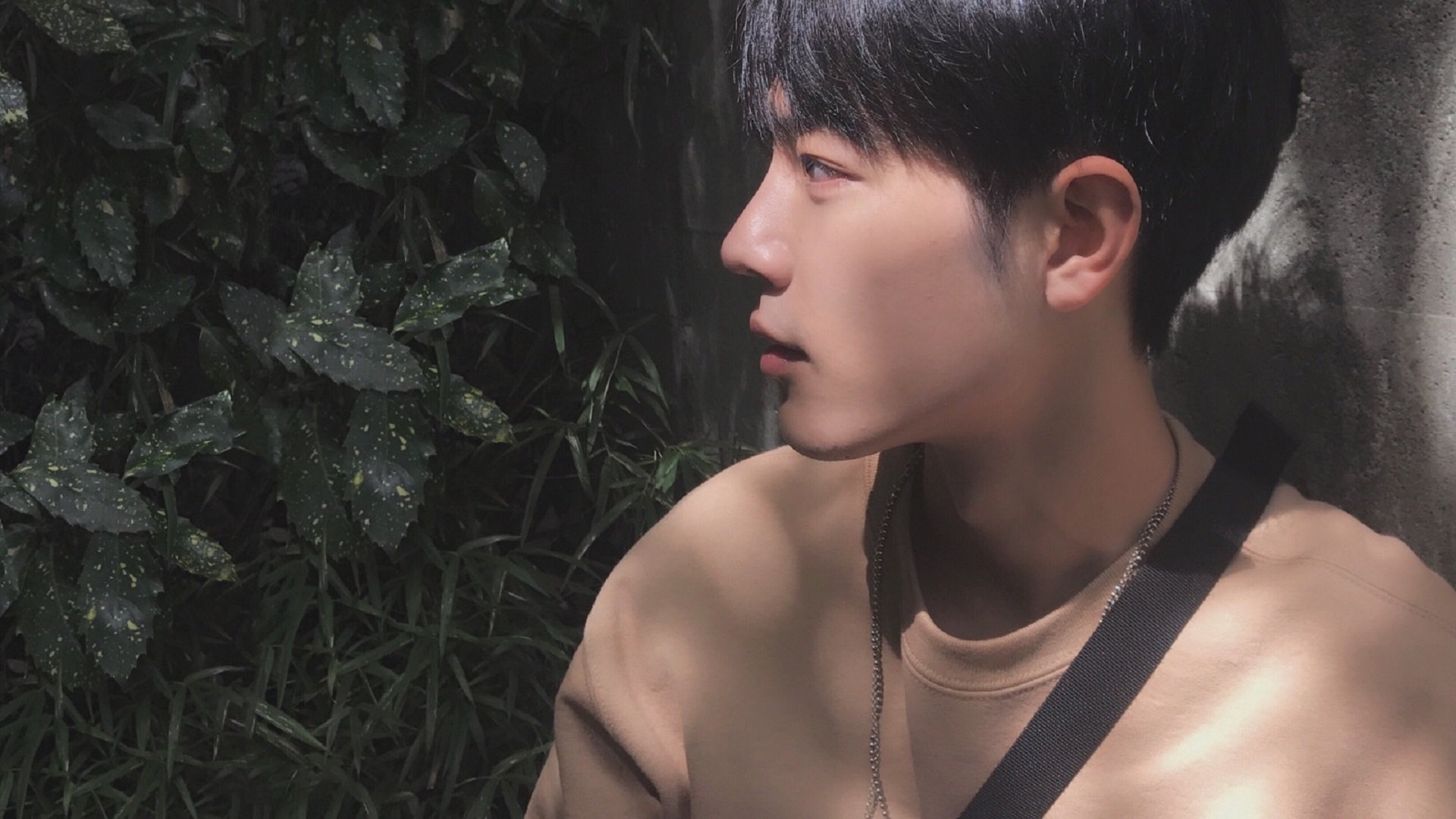 绿茵场上的基米希与贸易场上的日本,当个人英雄主义遭遇国家集体意志