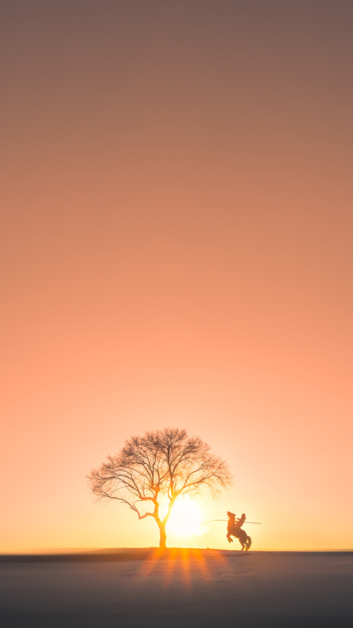 世俱杯2025-少年剑客斩落风浪,莫兰特在对阵浙江队的广厦之夜诠释篮球教科书