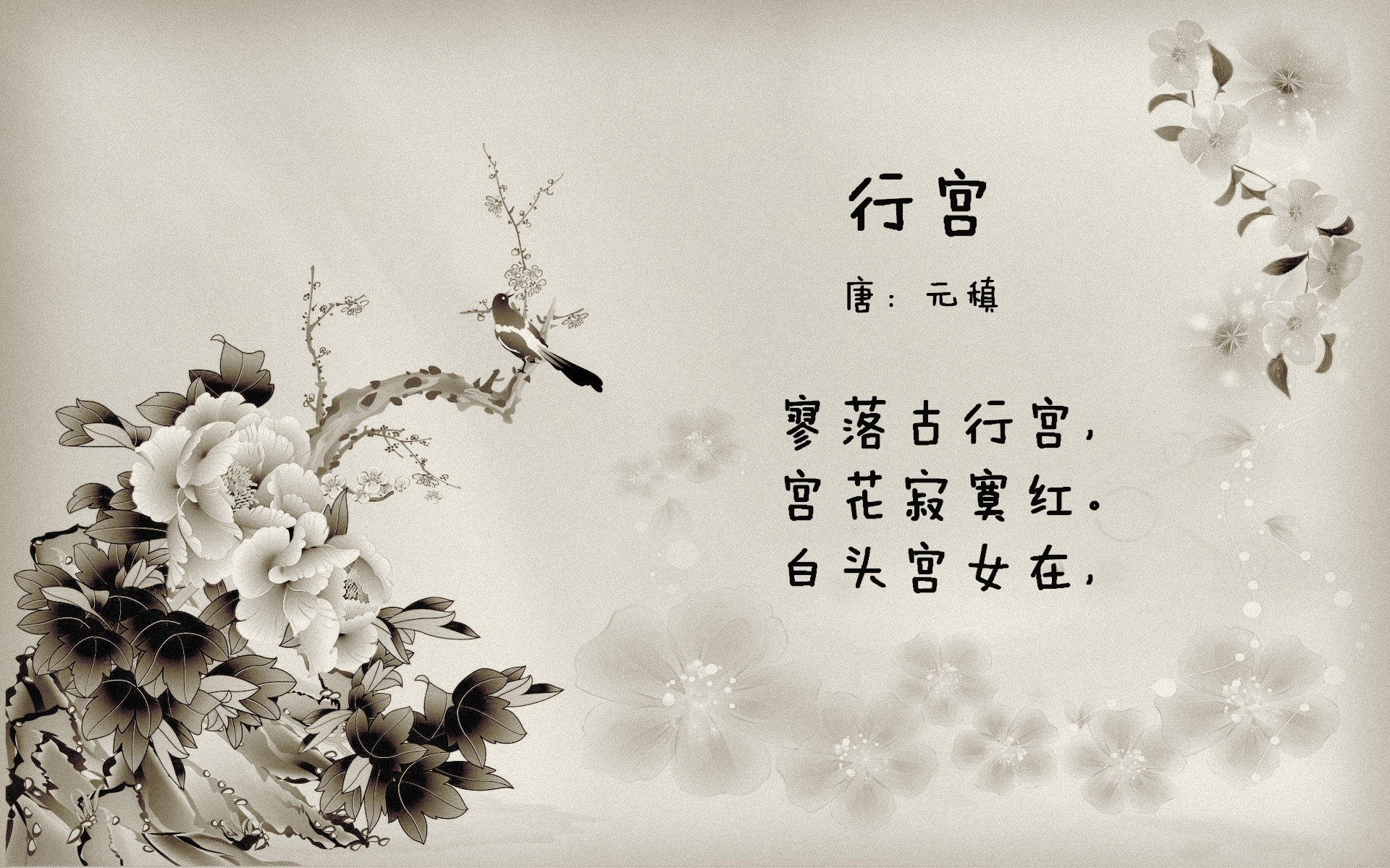 霍勒迪狂砍42分导演惊天逆转!辽宁队力克开拓者捍卫主场荣耀