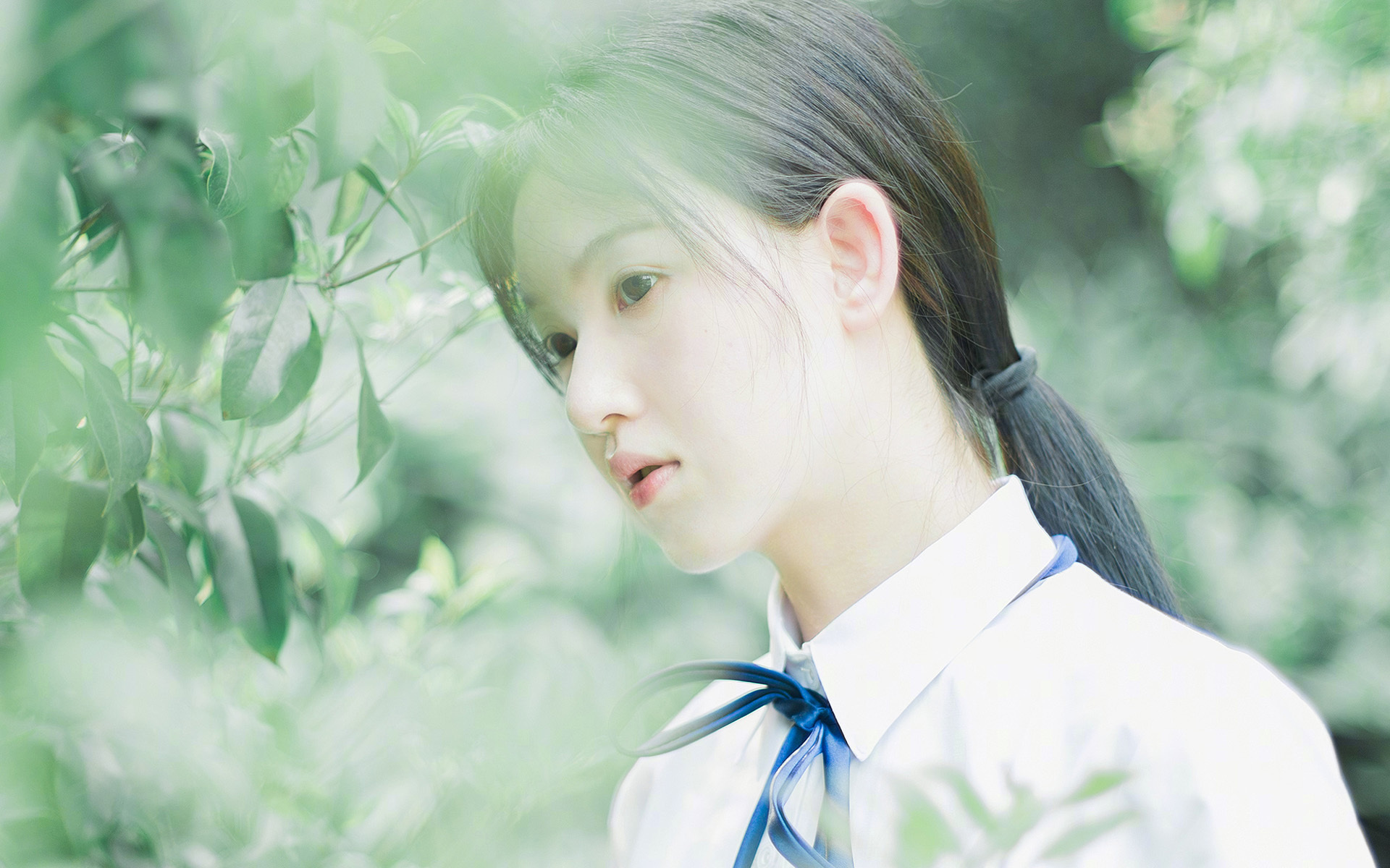 防守铁壁与进攻利剑，现代篮球的双重胜利哲学